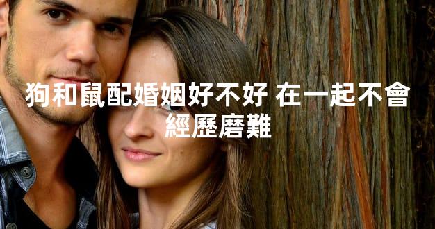 狗和鼠配婚姻好不好 在一起不會經歷磨難